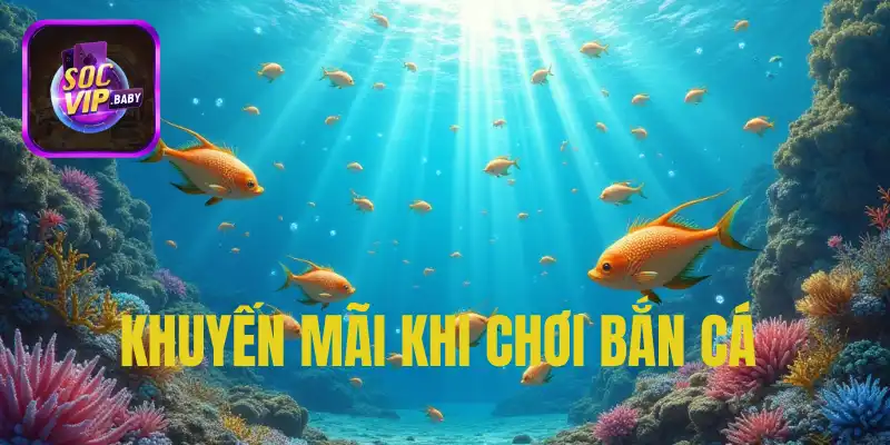 Hệ thống ưu đãi khủng