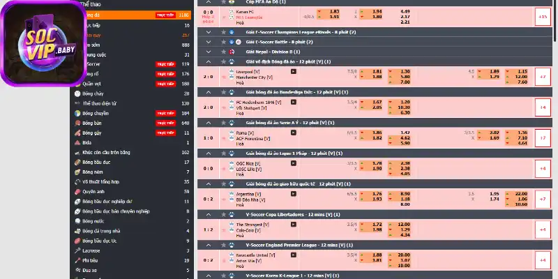 Các môn thể thao đáng trải nghiệm nhất tại SOCVIP