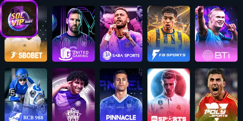 Cược thể thao đỉnh cao