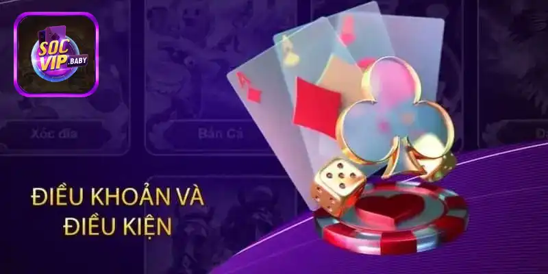 Tổng quan chính sách điều khoản và điều kiện SOCVIP